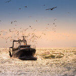 The evaluation reported some progress in reducing overfishing and improving management, but fish stock recovery and economic gains remain lower than expected.