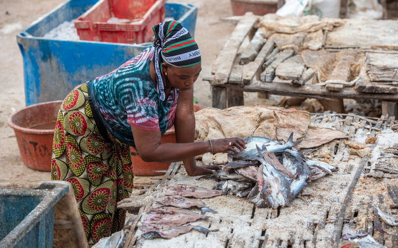 A woman sorting fish