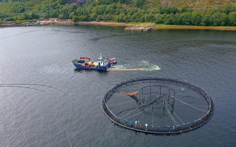An aerial shot of a wellboat and a salmon net pen in Scotland