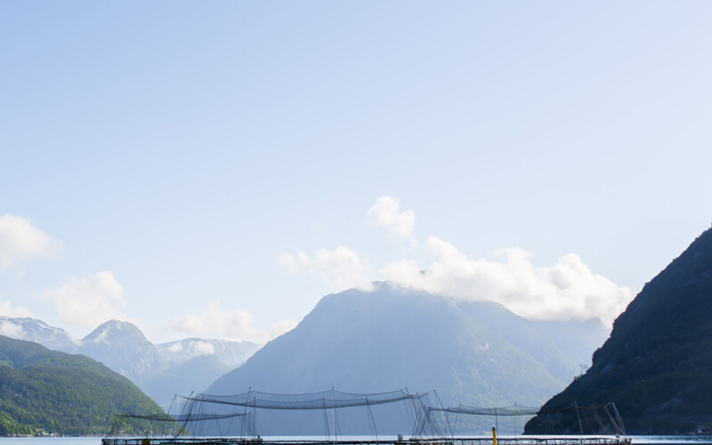 Net pens in the water in Norway