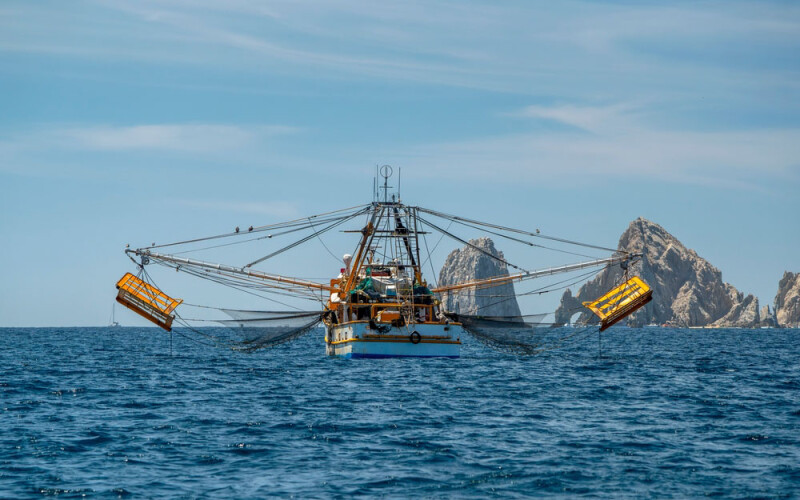 a shrimp vessel