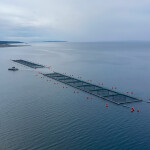 A Chilean salmon farm