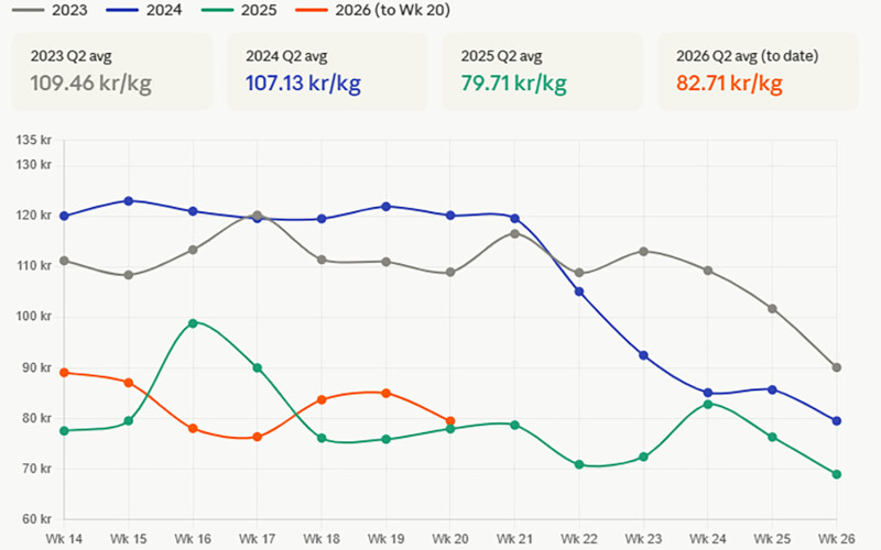 visualization of pricing patterns over the last four years