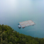 A Cooke Chile salmon farm