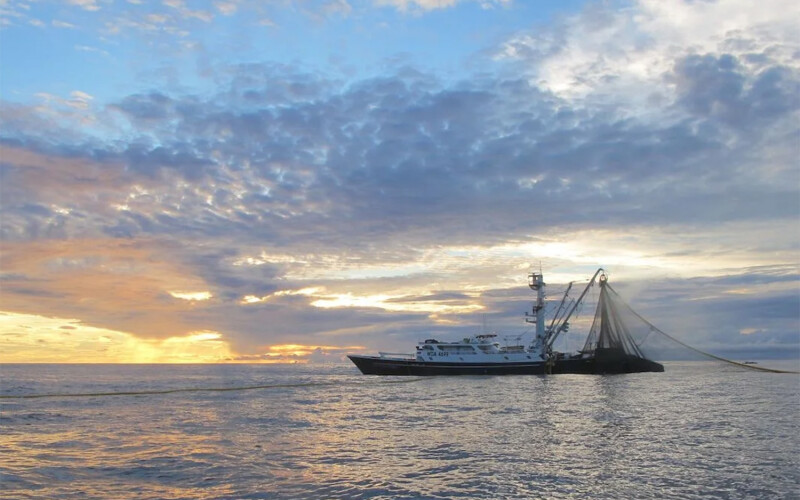 A tuna fishing vessel during a sunset