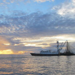 A tuna fishing vessel during a sunset