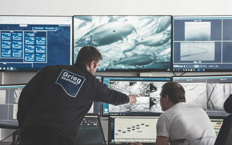 A Grieg Seafood employee in a control panel for a salmon farm