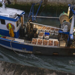 A French scallop vessel