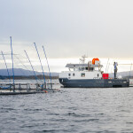 A pair of Måsøval net pens with a boat servicing them
