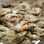 A pile of shell-on shrimp