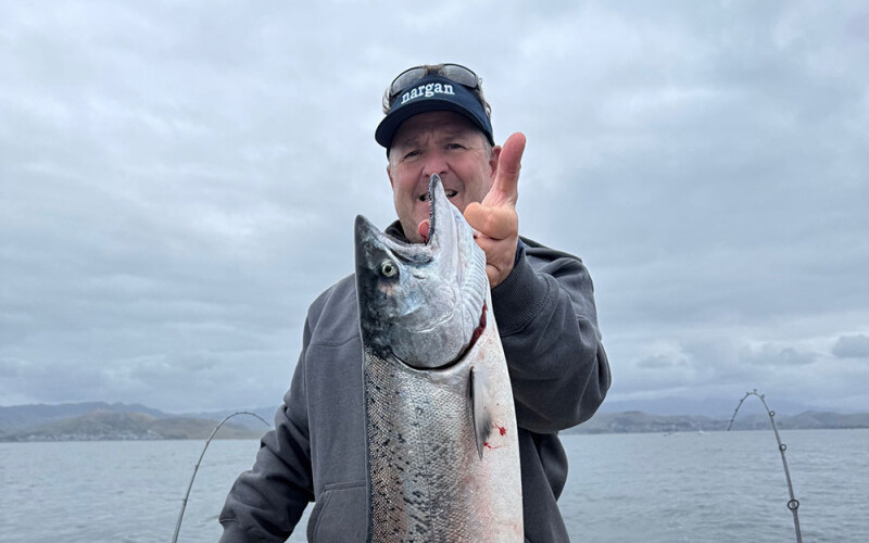 a salmon