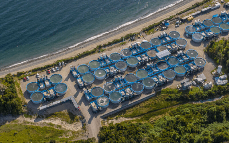 AquaChile land-based salmon tech