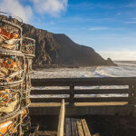 Dungeness crab traps