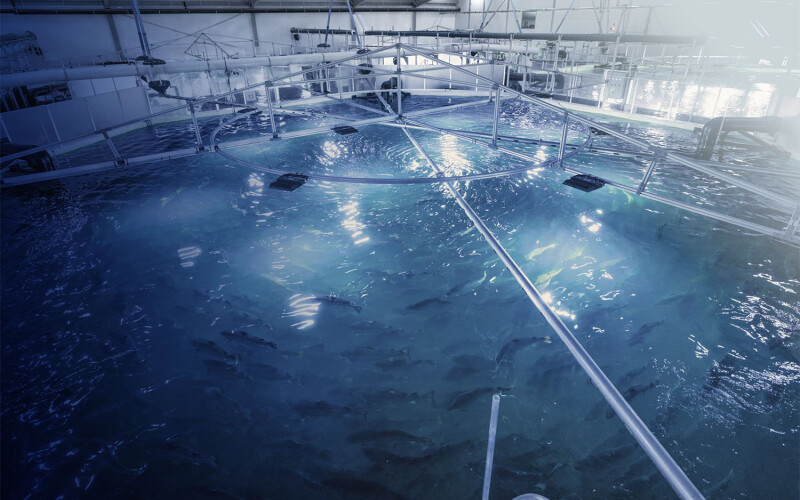Nordic Aqua Partners' RAS system in China