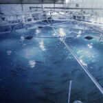 Nordic Aqua Partners' RAS system in China