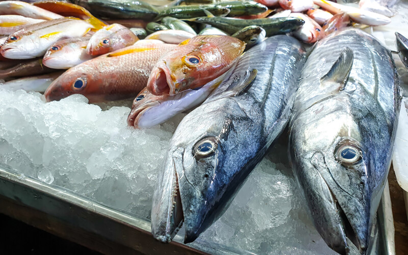 Fresh whole fish on ice