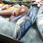 Fresh whole fish on ice