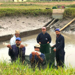 Egyptian tilapia farmers