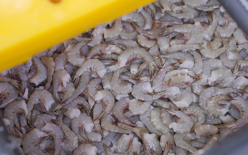 A pile of shrimp