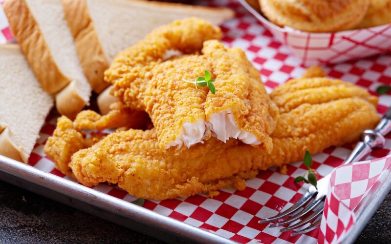 catfish