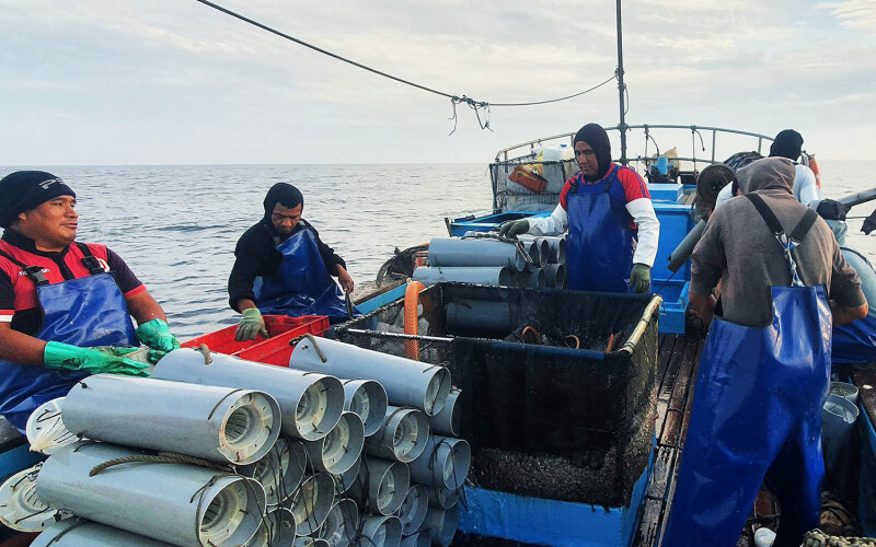 Peruvian eel fishers