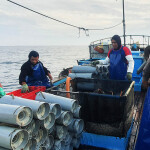 Peruvian eel fishers