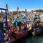 A fishing port in Scarborough, England