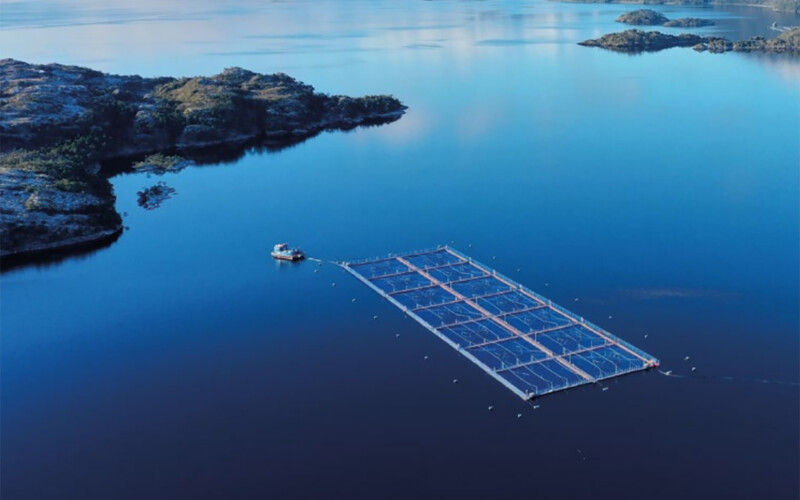 A Blumar salmon farm