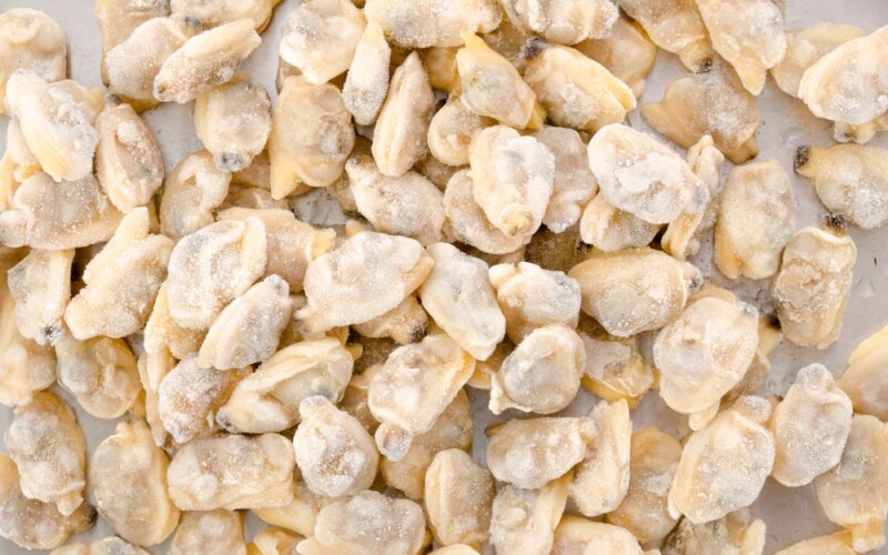 frozen clams