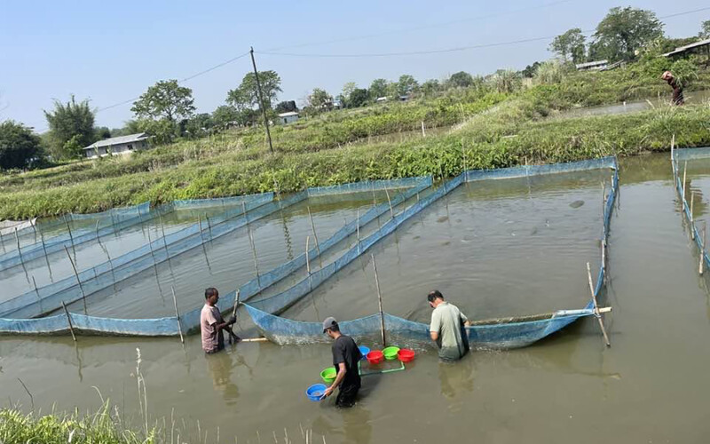 An aquaculture farm in Nepal