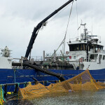 A boat stocking cod inside one of Ode's net pens