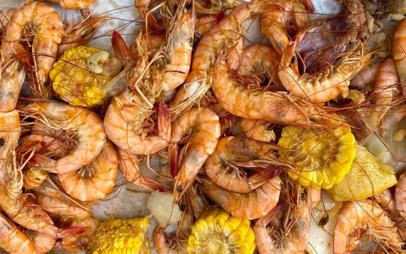 shrimps