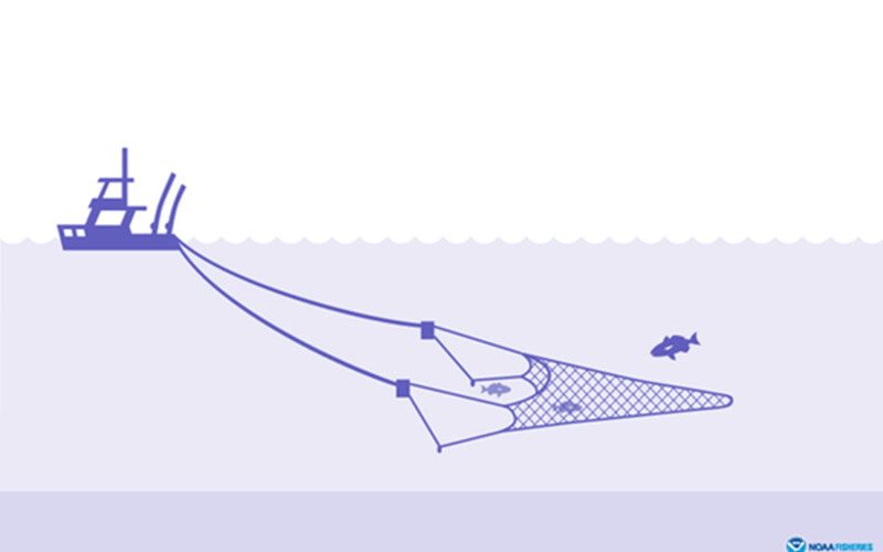 Midwater trawler by NOAA Fisheries