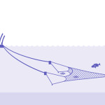 Midwater trawler by NOAA Fisheries