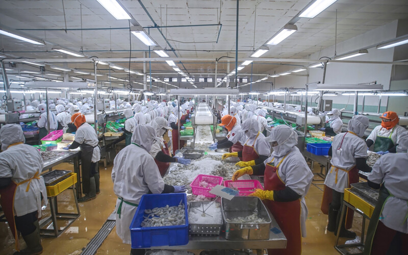 An Indonesian shrimp-processing facility