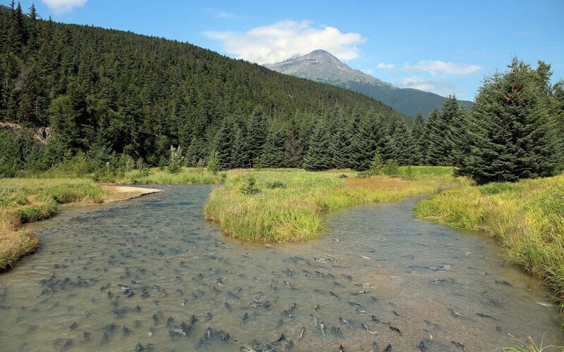 Alaska's Department of Natural Resources is discussing changes to the state's water reservation system