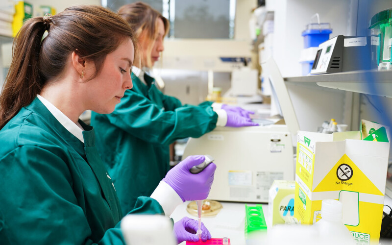 A pair of Benchmark Genetics researchers working in a laboratory