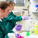 A pair of Benchmark Genetics researchers working in a laboratory