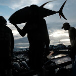 filipino fishers