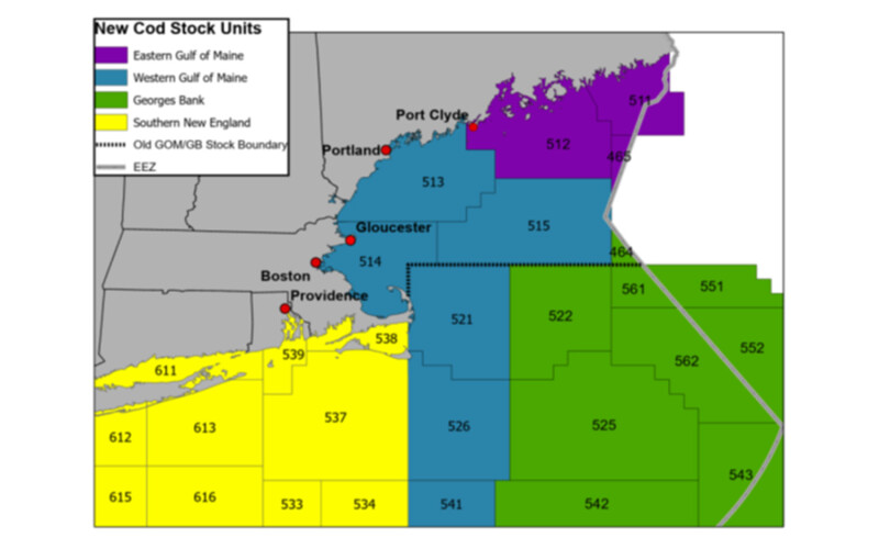 A map depicting the four cod management areas in New England