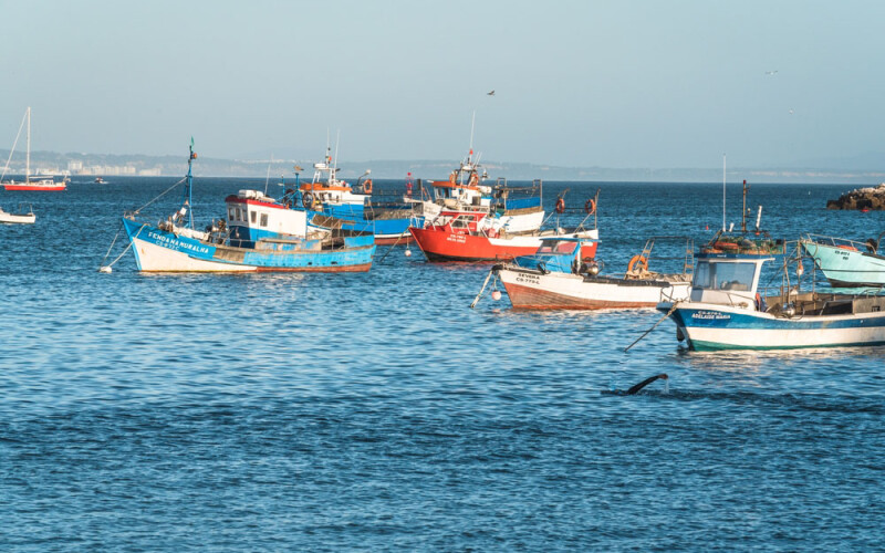 fishing vessels in Portugal