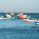 fishing vessels in Portugal