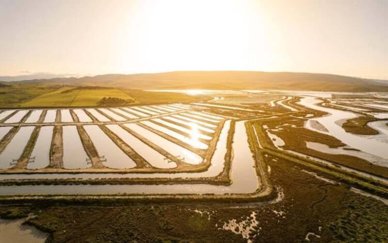 An aerial view of an aquaculture operation