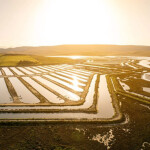 An aerial view of an aquaculture operation