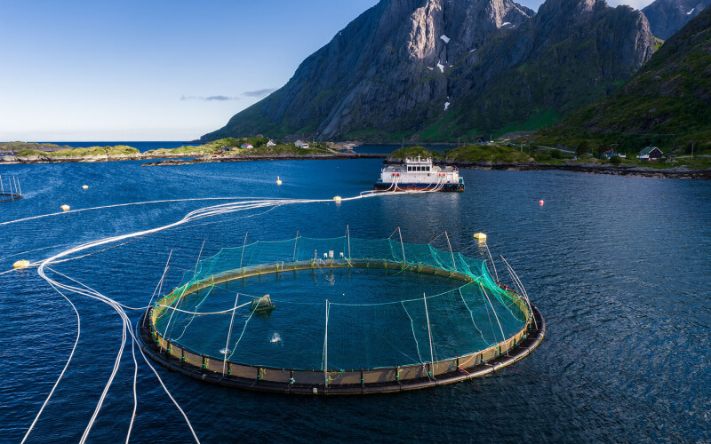 A net pen in Norway