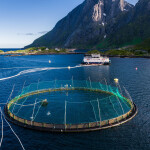 A net pen in Norway