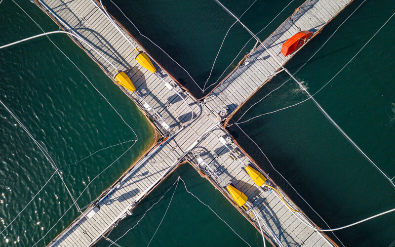 An aerial shot of a Chilean aquaculture net pen