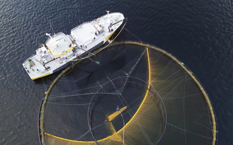 SmoothMove fish moving net