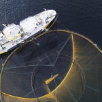 SmoothMove fish moving net