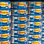 Mexican canned tuna products
